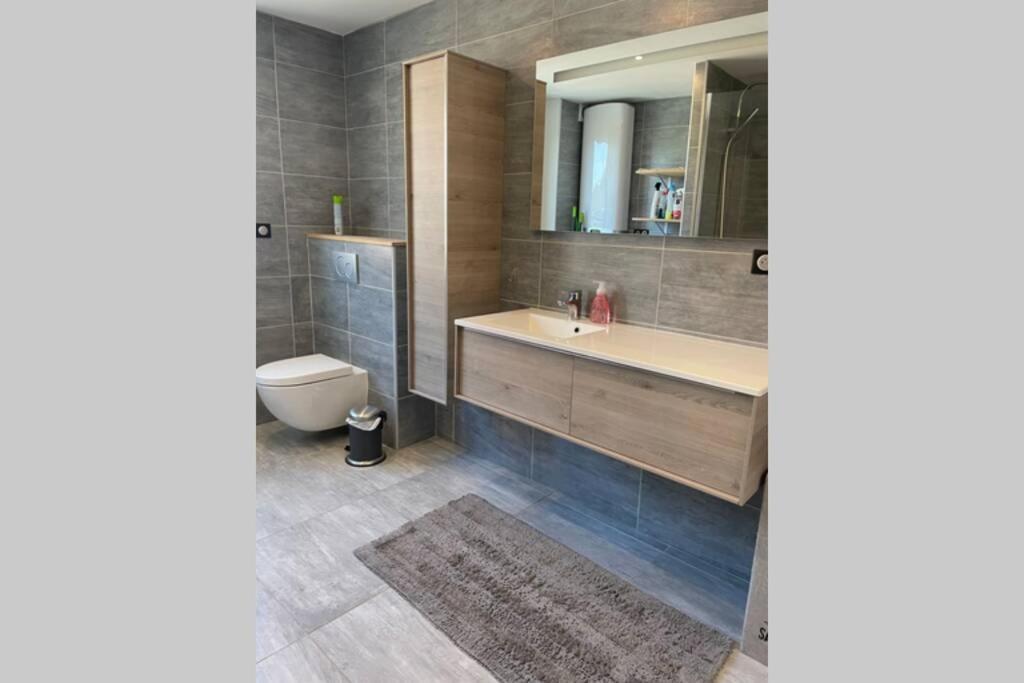 Appartement De Adrien Garage Prive Charleville-Mezieres Bagian luar foto
