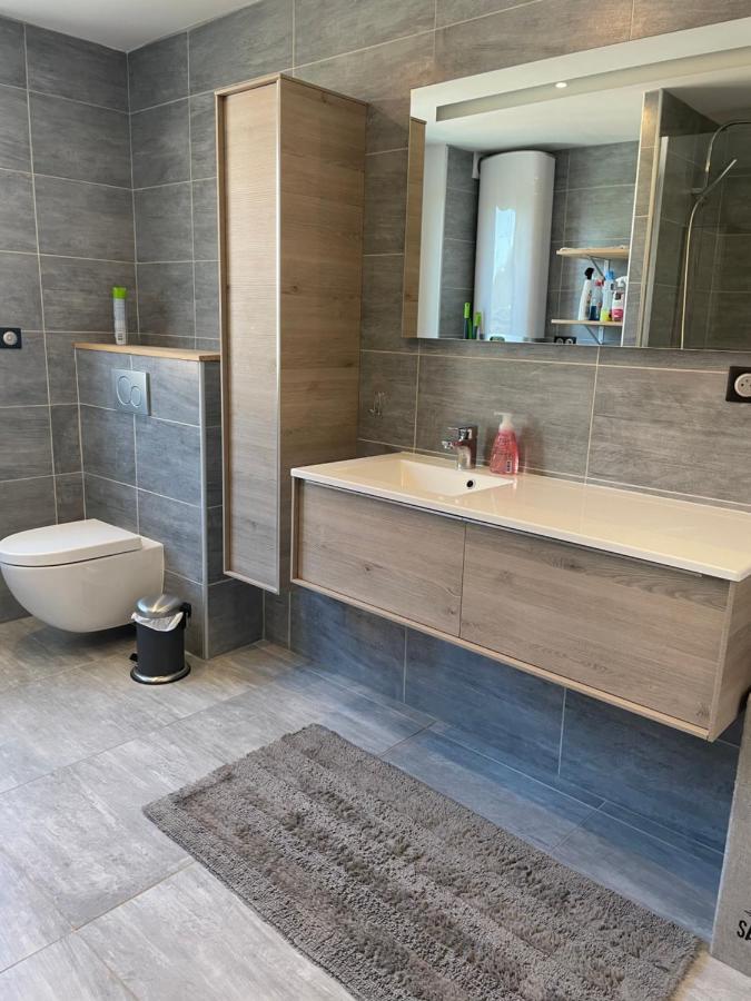 Appartement De Adrien Garage Prive Charleville-Mezieres Bagian luar foto